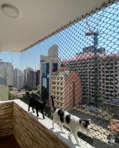 Gemini_Generated_Image_nolp0jnolp0jnolp
